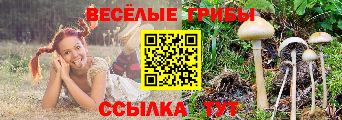 Псилоцибиновые грибы MAGIC MUSHROOMS Джанкой