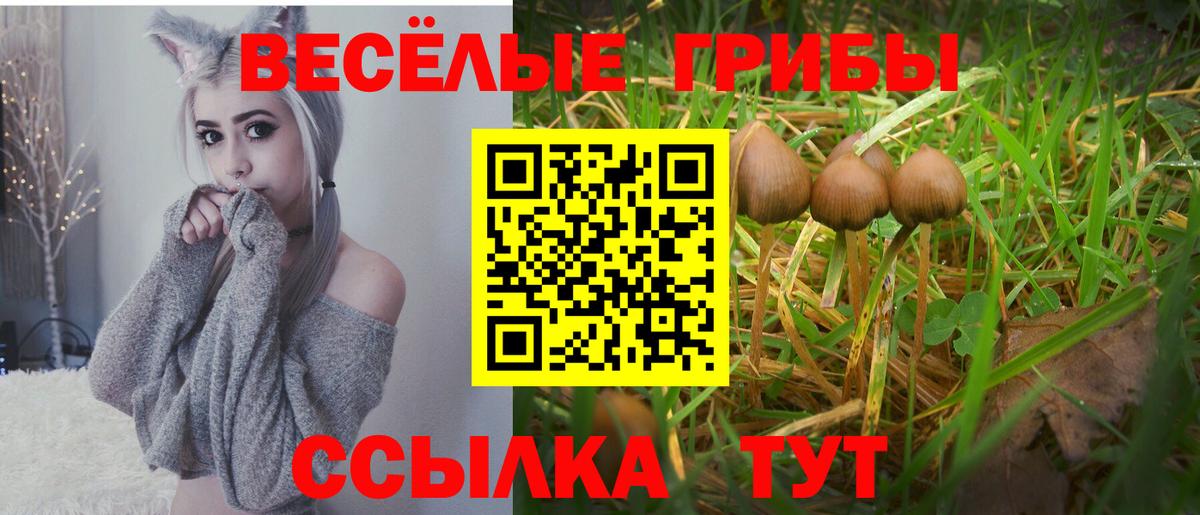 Галлюциногенные грибы прущие грибы  Вход с VPN  Джанкой  Галлюциногенные грибы Psilocybine cubensis 